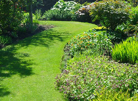 All Patio Design/ Landscapers in Surrey and Berkshire/Garden Maintenance